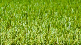 Is Artificial Grass Any Good?