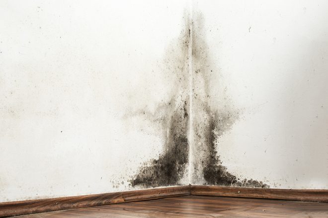 What Is the Best Way to Deal With Damp?